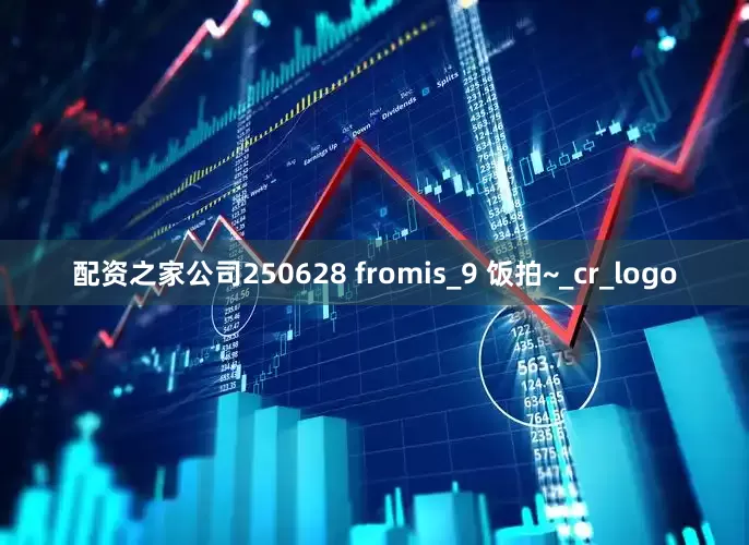 配资之家公司250628 fromis_9 饭拍~_cr_logo