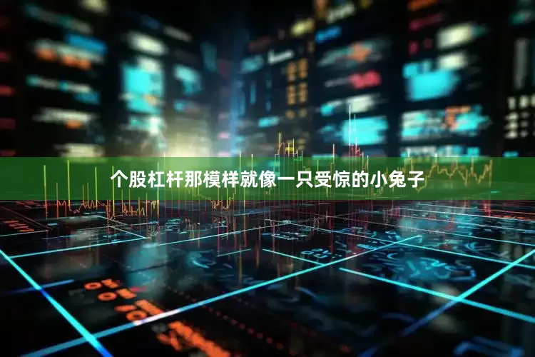 个股杠杆那模样就像一只受惊的小兔子