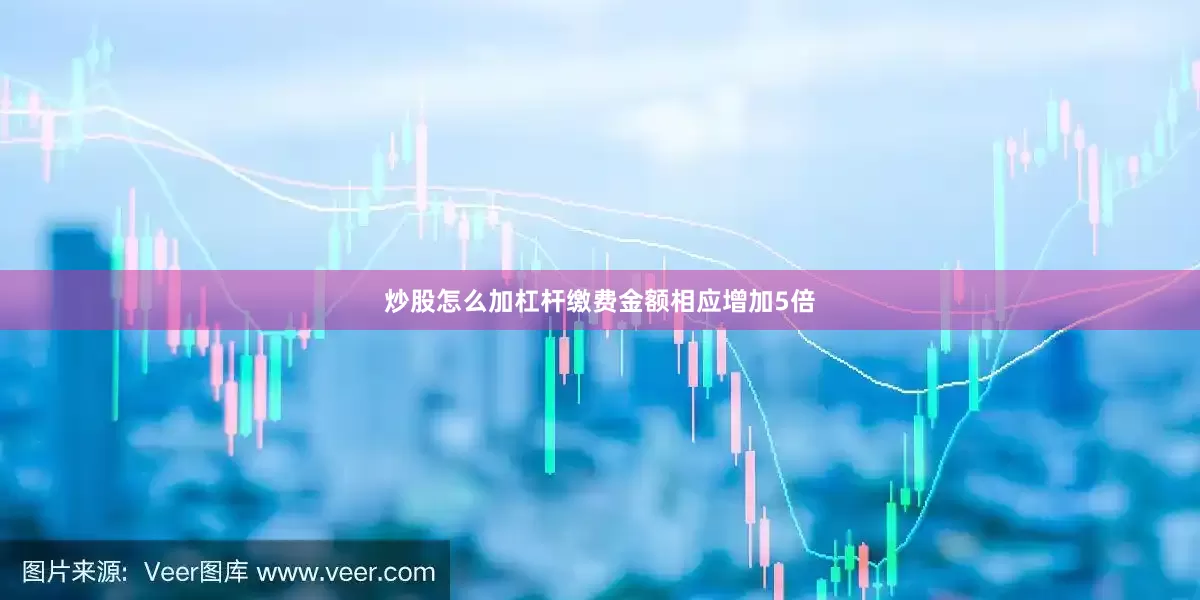 炒股怎么加杠杆缴费金额相应增加5倍