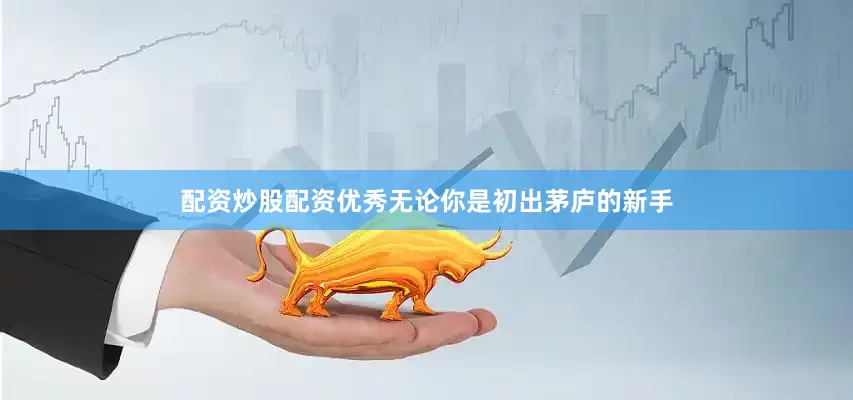 配资炒股配资优秀无论你是初出茅庐的新手